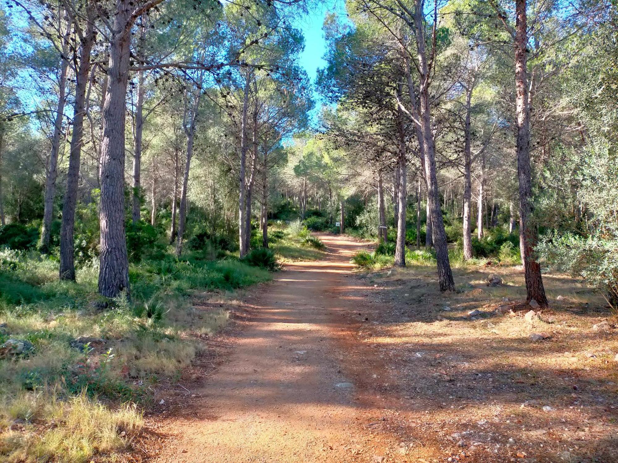 Amborget Villa San Jorge  Bagian luar foto