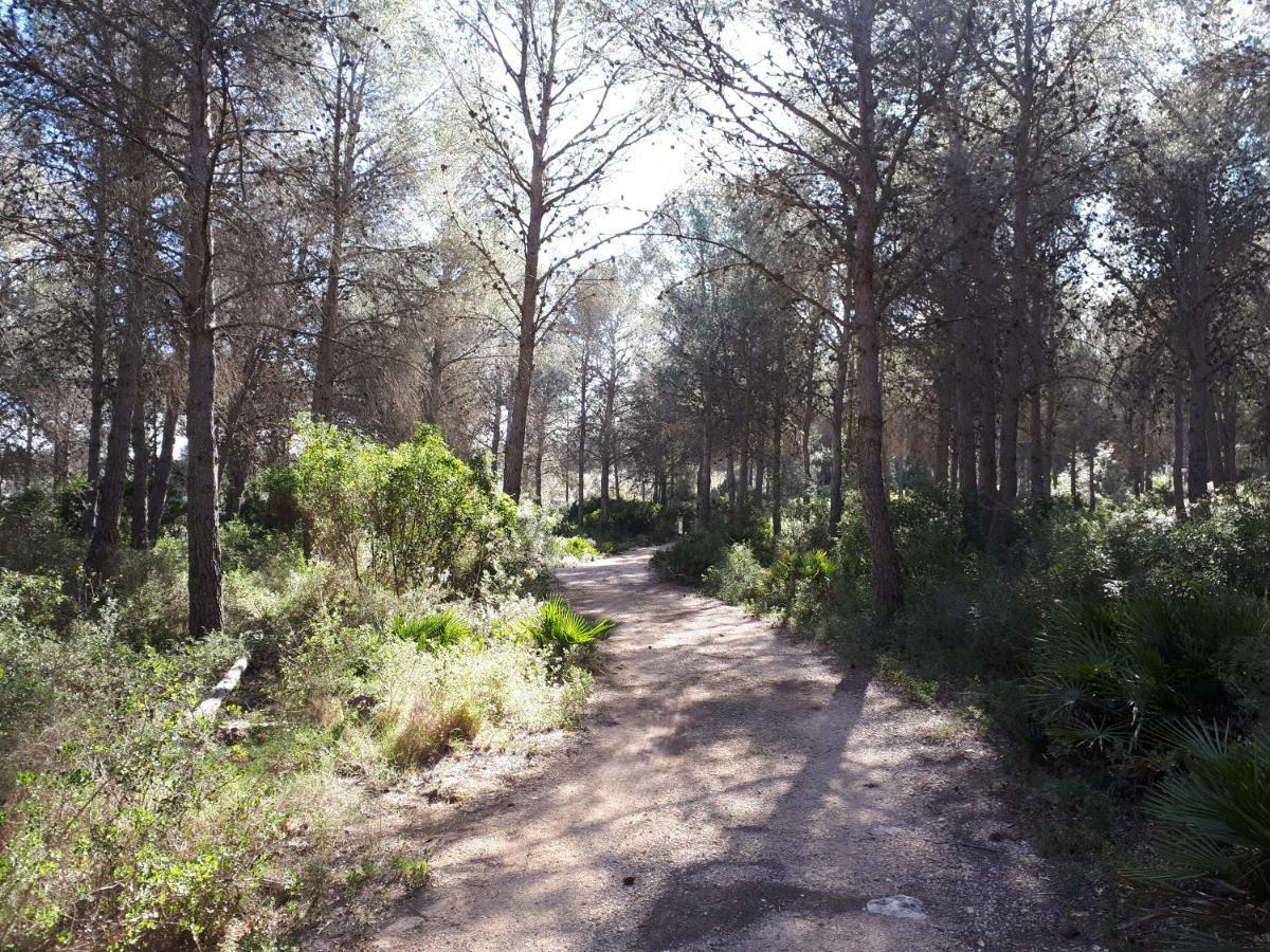 Amborget Villa San Jorge  Bagian luar foto